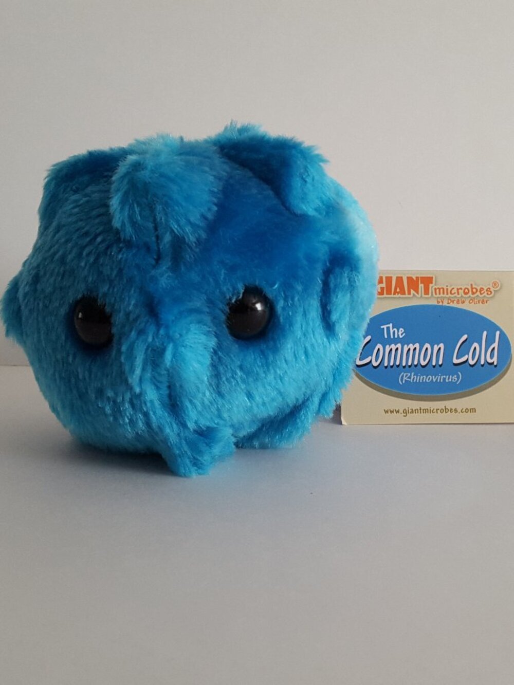 Giant Microbes Common Cold Rhinovirus (3.5"x4" ) Biology Student Graduation Gift